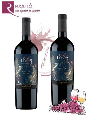 Vang Chile 1865 Master Blend