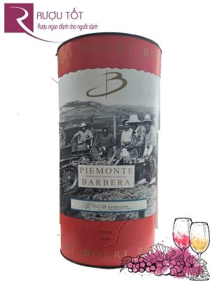 Vang Ý Boeri Piemonte Barbera bịch 3L Cao cấp