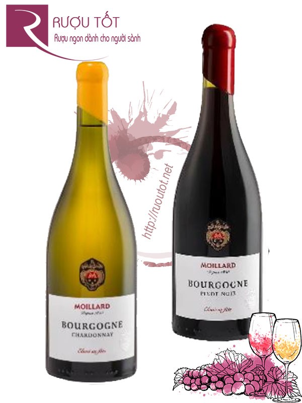 Rượu vang Moillard Bourgogne Red – White Đầu si