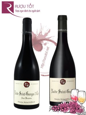 Rượu vang Nuits Saint George 1er Cru Domaine Michel Noellat