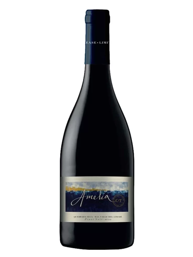 Concha y Toro Amelia Quebrada Seca Pinot Noir