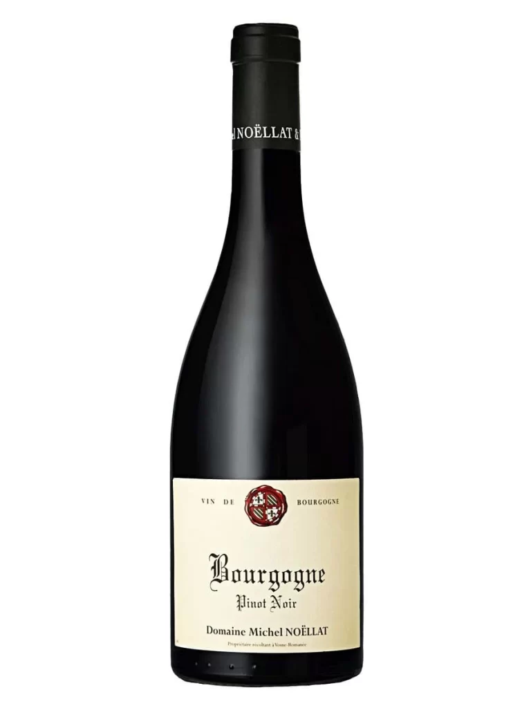 Domaine Michel Noellat Bourgogne Pinot Noir