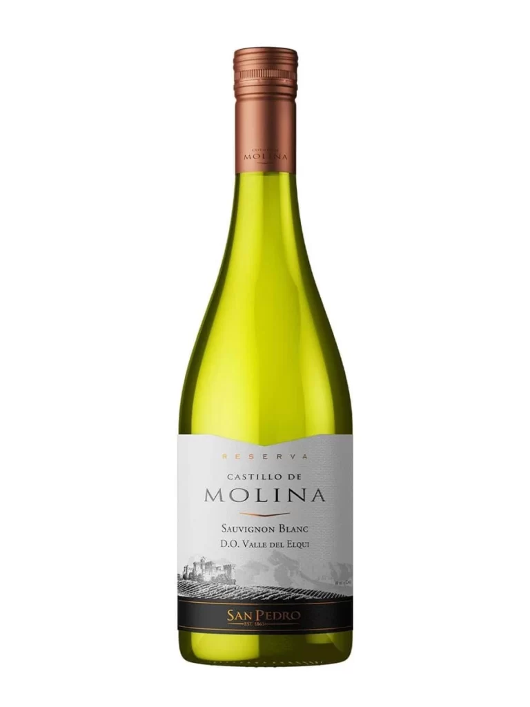 Castillo De Molina Reserva Sauvignon Blanc