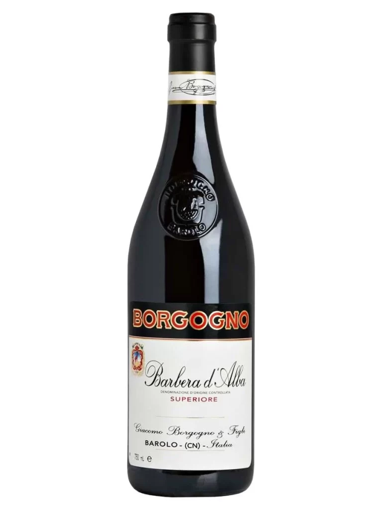 Giacomo Borgogno & Figli Superiore Barbera d’Alba