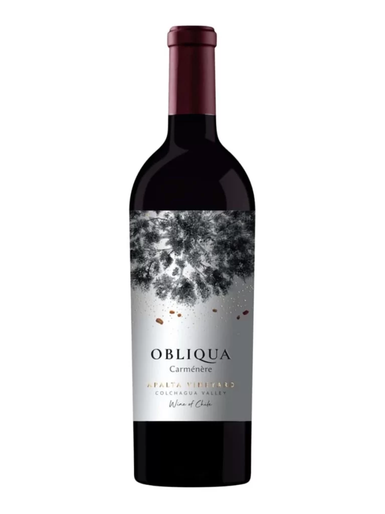 Ventisquero Obliqua Carmenere